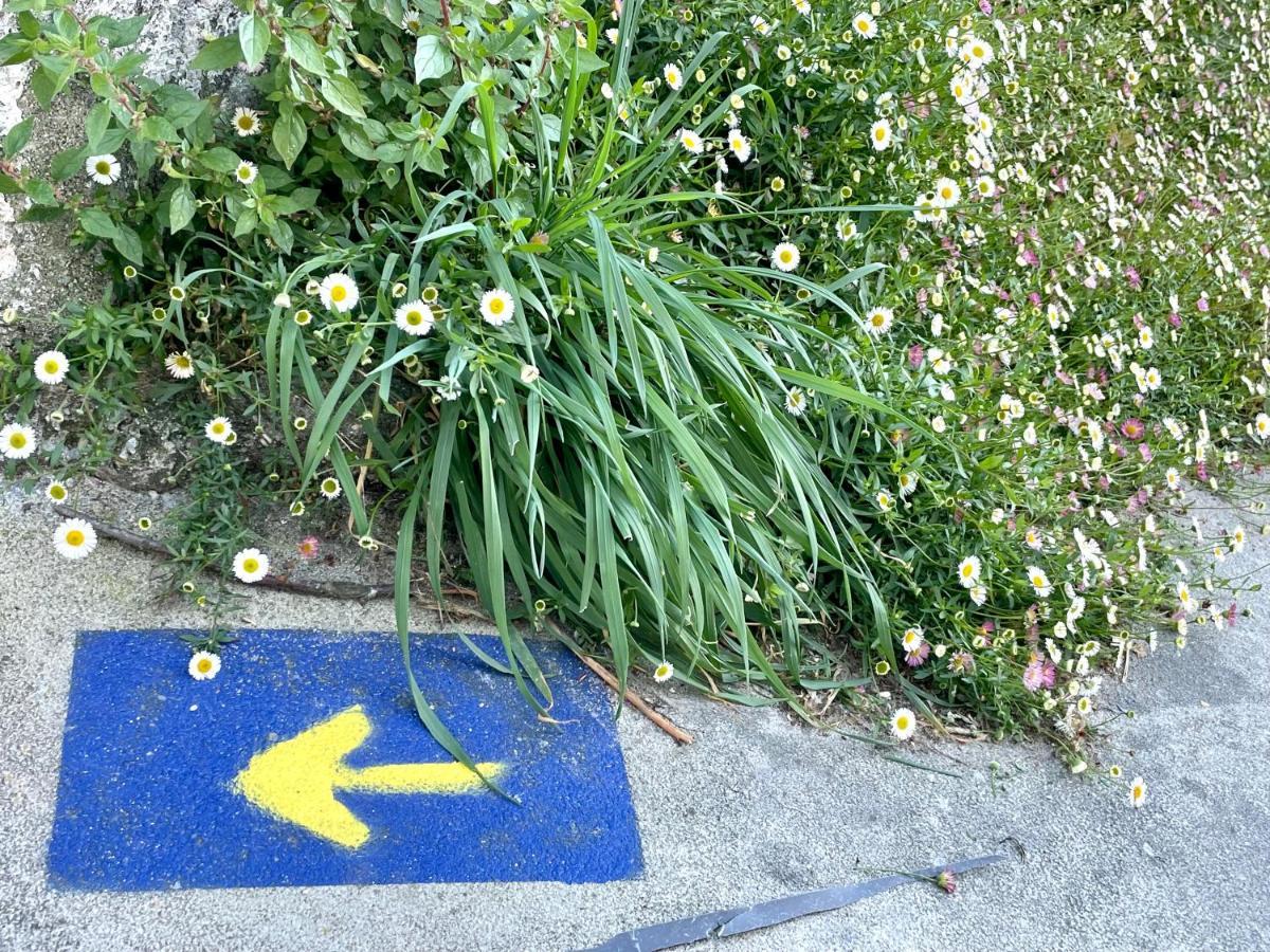Sabardes Fairviewヴィラ エクステリア 写真